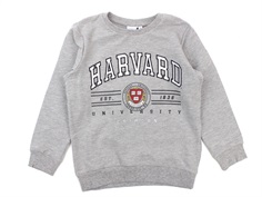 Name It sweatshirt grey melange harvard university